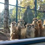 Мария Бушуева