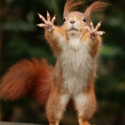 Елизавета Скипа