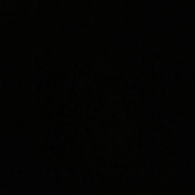 Полина Отто