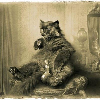 Aleksandr Mihaylovich