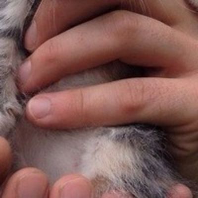 Виктория Лодыгина