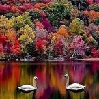 Разият Гаджиатаева