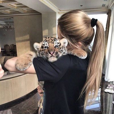 Элизабет Каллехас