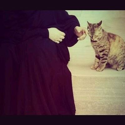 Амина Абдулсаламова