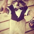 Анастасия Клеймуш