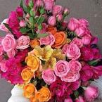 Шамай Уцумиева