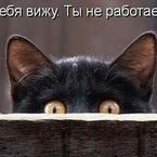 Камир Сафиров