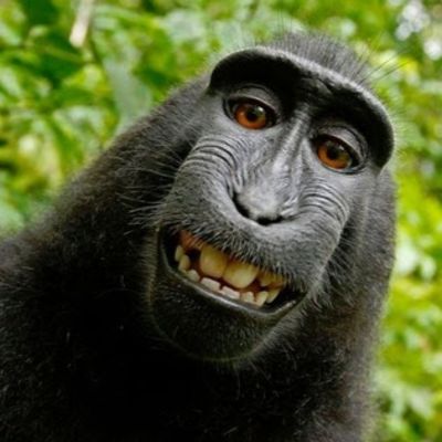 Ризабек Жандилов (ProClash)