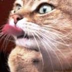 Лариса Анастасьева