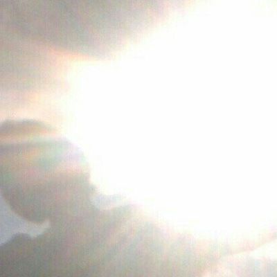 Андрей Плотников