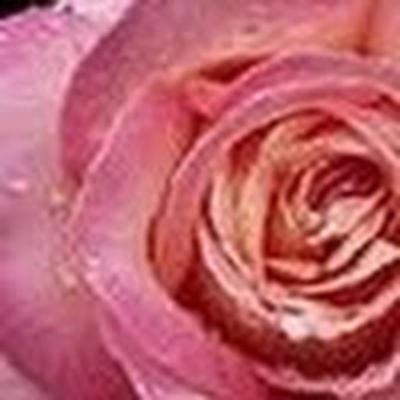 Ольга Вязовцева