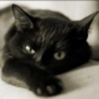 Светлана Киселёва