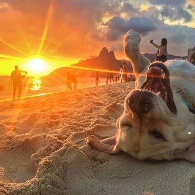 Ингеборга Энштейн