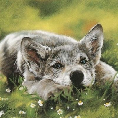 Александра Вишнева