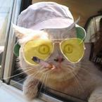 Виталий Буткевич