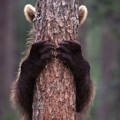 Инна Зайцева