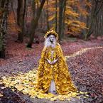 Ксения Шумова