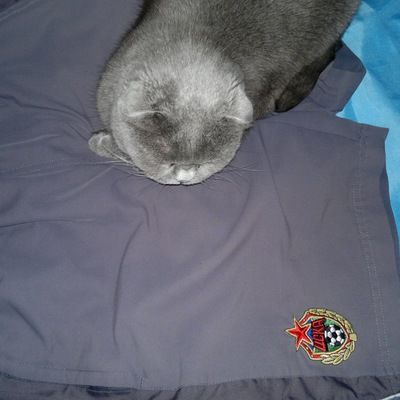 Виктория Поликушина