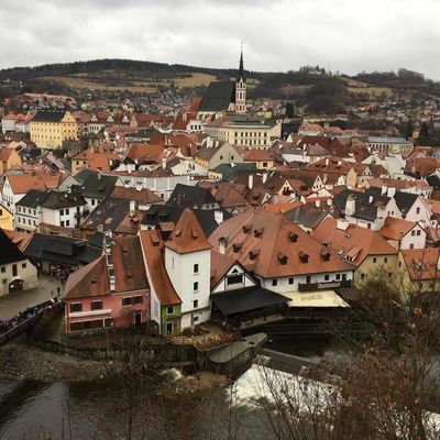 Дмитрий Андреев