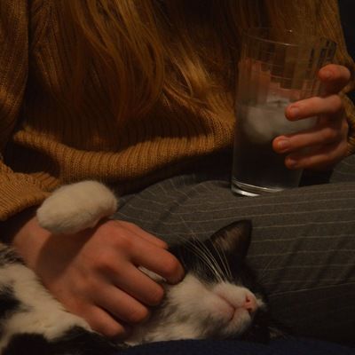 Анна Кёртис