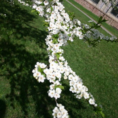 Ксения Рогожникова