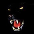 Александр Завьялов