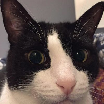 Анна Гордиенко