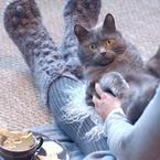 Зоя Ярославцева