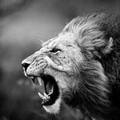 Ринат Юсупов