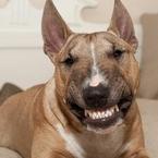 Ирина Иванова