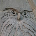 Елена Куртина