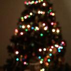 София Болотина