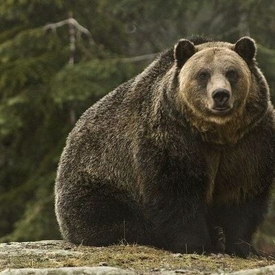 Дмитрий Валериевич