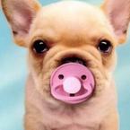 Дарья Федорова