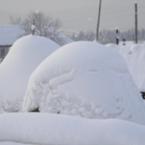 Окса Врублевская