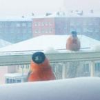 Лидия Баранова