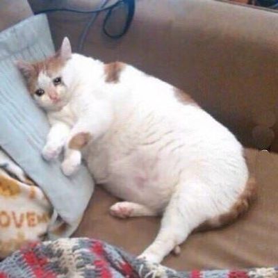 Валя Королева