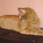 Нюта Кузнецова