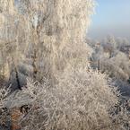 Людмила Давыдова