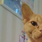 Соня Бондарева