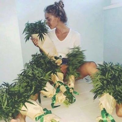 Ольга Рыбалко