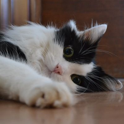 Станислав Тюлягин