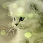 Катюша Круглякова