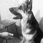 Виталий Качурин