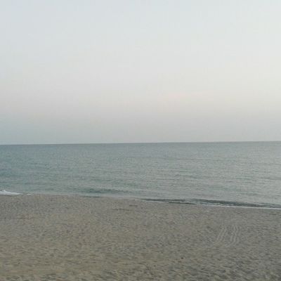 Ольга Колесникова