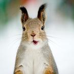 Djulia Peterburgskaia