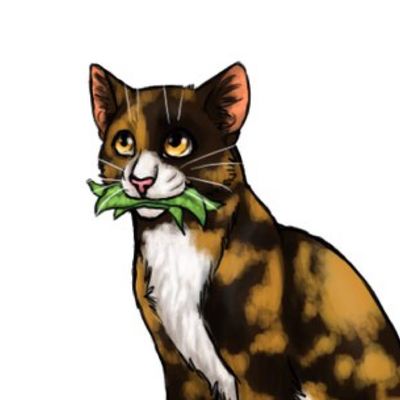 пестролистая