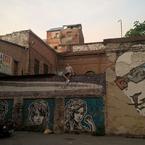 Данил Курносов