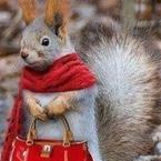 Лариса Величко