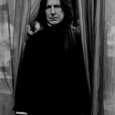 Светлана Куликова